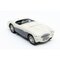 AUSTIN - HEALEY 100S SPIDER 1955